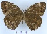  ( - YB-BCI102121)  @11 [ ] No Rights Reserved  Unspecified Unspecified