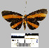  ( - YB-BCI21889)  @13 [ ] No Rights Reserved  Unspecified Unspecified