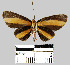  ( - YB-BCI21889)  @13 [ ] No Rights Reserved  Unspecified Unspecified