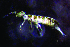  ( - JPV-110_Dec_ARM1_300_Orchsp1_3)  @11 [ ] No Rights Reserved  Unspecified Unspecified