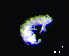  ( - JPV-161_Archsp1_Her_LESM_2)  @11 [ ] No Rights Reserved  Unspecified Unspecified