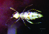  ( - JPV-35_Dec_ARM3_050_Parsp1_4)  @11 [ ] No Rights Reserved  Unspecified Unspecified