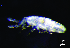  ( - JPV-36_Dec_ARM3_050_Hetsp1_4)  @11 [ ] No Rights Reserved  Unspecified Unspecified