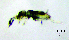  ( - JPV-69_Dec_ARM4_400_Trogsp6_5)  @11 [ ] No Rights Reserved  Unspecified Unspecified