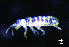  ( - JPV-8_Proitro_Pal_LESM_2)  @11 [ ] No Rights Reserved  Unspecified Unspecified