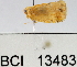  ( - YB-BCI13483)  @14 [ ] No Rights Reserved  Unspecified Unspecified