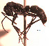  ( - YB-DD1010BC)  @13 [ ] No Rights Reserved  Unspecified Unspecified