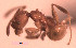  ( - YB-DD1012BC)  @12 [ ] No Rights Reserved  Unspecified Unspecified