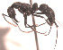  ( - YB-DD1034BC)  @13 [ ] No Rights Reserved  Unspecified Unspecified