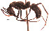  ( - YB-DD1037BC)  @14 [ ] No Rights Reserved  Unspecified Unspecified