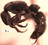  ( - YB-DD1039BC)  @12 [ ] No Rights Reserved  Unspecified Unspecified