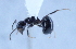  ( - YB-BCI10721)  @11 [ ] No Rights Reserved  Unspecified Unspecified