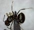 ( - YB-BCI129301)  @11 [ ] Unspecified (default): All Rights Reserved  No Rights Reserved Unspecified