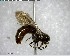  ( - YB-BCI144362)  @12 [ ] CreativeCommons - Attribution (2017) Yves Basset Smithsonian Tropical Research Institute