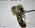  ( - YB-BCI153924)  @12 [ ] CreativeCommons - Attribution (2017) Yves Basset Smithsonian Tropical Research Institute