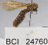  ( - YB-BCI24760)  @12 [ ] No Rights Reserved  Unspecified Unspecified