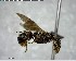  ( - YB-BCI144360)  @11 [ ] CreativeCommons - Attribution (2017) Yves Basset Smithsonian Tropical Research Institute