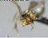  ( - YB-BCI147672)  @12 [ ] CreativeCommons - Attribution (2017) Yves Basset Smithsonian Tropical Research Institute