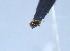  ( - YB-BCI29230)  @12 [ ] No Rights Reserved (2011) Unspecified Unspecified