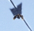  ( - YB-BCI29491)  @12 [ ] No Rights Reserved (2011) Unspecified Unspecified