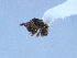  ( - YB-BCI11563)  @12 [ ] No Rights Reserved  Unspecified Unspecified
