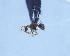  ( - YB-BCI30009)  @12 [ ] No Rights Reserved (2011) Unspecified Unspecified