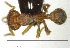  ( - YB-BCI163188)  @12 [ ] No Rights Reserved  Unspecified Unspecified