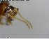  ( - YB-BCI140500)  @12 [ ] CreativeCommons - Attribution (2017) Yves Basset Smithsonian Tropical Research Institute