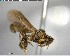  ( - YB-BCI146341)  @13 [ ] CreativeCommons - Attribution (2017) Yves Basset Smithsonian Tropical Research Institute