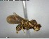  ( - YB-BCI146402)  @11 [ ] CreativeCommons - Attribution (2017) Yves Basset Smithsonian Tropical Research Institute