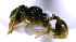  ( - YB-DD1099BC)  @12 [ ] No Rights Reserved  Unspecified Unspecified
