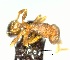  ( - YB-BCI165686)  @12 [ ] No Rights Reserved  Unspecified Unspecified