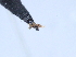  ( - YB-BCI29508)  @12 [ ] No Rights Reserved (2011) Unspecified Unspecified