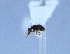  ( - YB-BCI10584)  @12 [ ] No Rights Reserved  Unspecified Unspecified