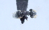  ( - YB-BCI28765)  @11 [ ] No Rights Reserved (2011) Unspecified Unspecified