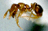  ( - YB-DD1100BC)  @12 [ ] No Rights Reserved  Unspecified Unspecified