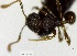  ( - YB-BCI163170)  @12 [ ] No Rights Reserved  Unspecified Unspecified
