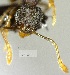  ( - YB-BCI163170)  @12 [ ] No Rights Reserved  Unspecified Unspecified