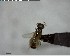  ( - YB-BCI140006)  @12 [ ] CreativeCommons - Attribution (2017) Yves Basset Smithsonian Tropical Research Institute