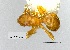 ( - YB-BCI10718)  @11 [ ] No Rights Reserved  Unspecified Unspecified