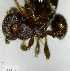  ( - YB-BCI163437)  @12 [ ] No Rights Reserved  Unspecified Unspecified