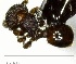  ( - YB-BCI163441)  @13 [ ] No Rights Reserved  Unspecified Unspecified