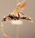  ( - YB-BCI1219)  @11 [ ] No Rights Reserved  Unspecified Unspecified