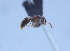  ( - YB-BCI29082)  @12 [ ] No Rights Reserved (2011) Unspecified Unspecified