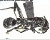 ( - YB-BCI146339)  @12 [ ] CreativeCommons - Attribution (2017) Yves Basset Smithsonian Tropical Research Institute