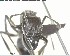  ( - YB-BCI146339)  @12 [ ] CreativeCommons - Attribution (2017) Yves Basset Smithsonian Tropical Research Institute