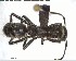  ( - YB-BCI149912)  @12 [ ] CreativeCommons - Attribution (2017) Yves Basset Smithsonian Tropical Research Institute
