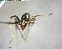  ( - YB-BCI179477)  @11 [ ] No Rights Reserved  Unspecified Unspecified