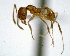  ( - YB-DD1006BC)  @13 [ ] No Rights Reserved  Unspecified Unspecified