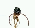  ( - YB-DD1011BC)  @12 [ ] No Rights Reserved  Unspecified Unspecified